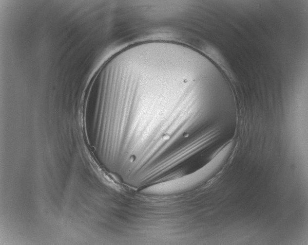 X0000078851436200612041854