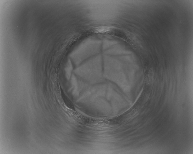 X0000078851441200612041854
