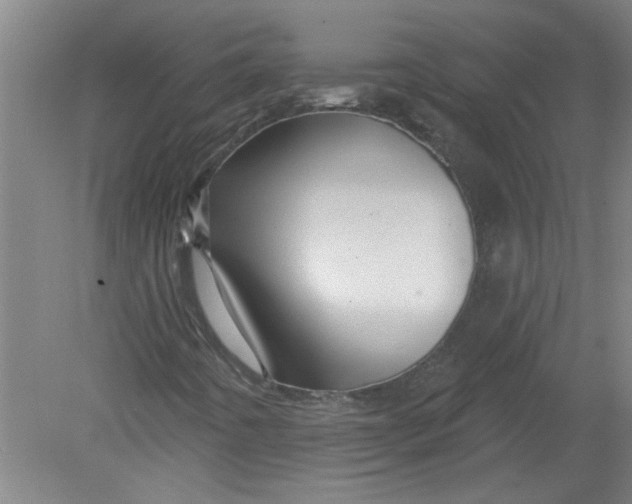 X0000078851442200612041854