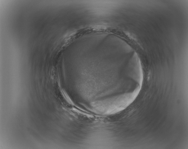 X0000078851445200612041854