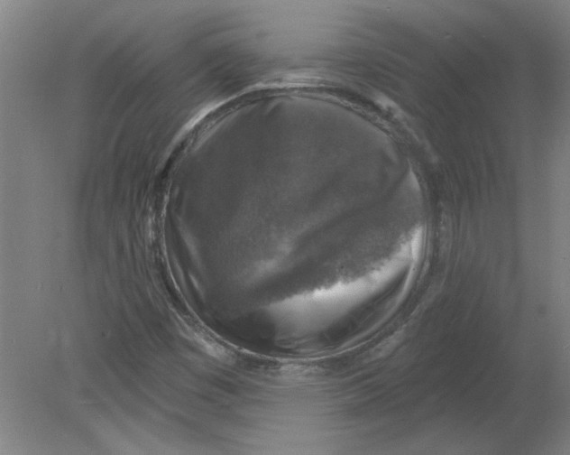 X0000078851449200612041854
