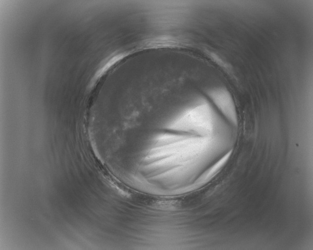 X0000078851453200612041853