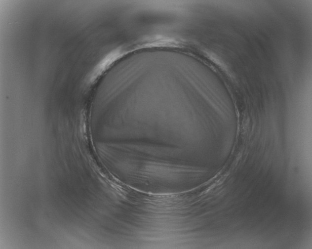 X0000078851455200612041853