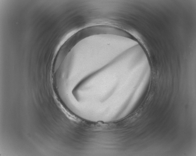 X0000078851485200612041853