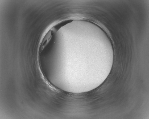 X0000078851488200612041853