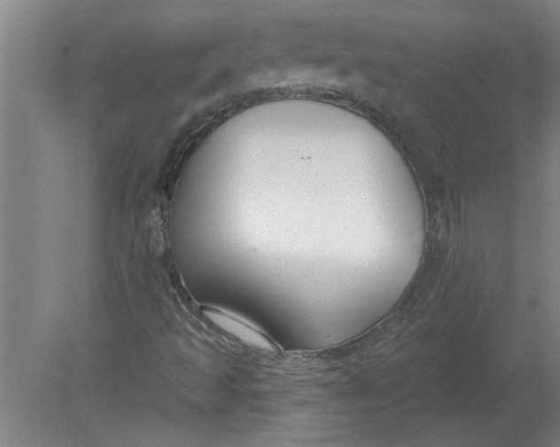 X0000078851493200612041852