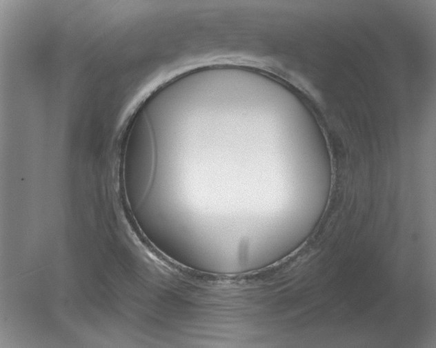 X0000078851504200612041852