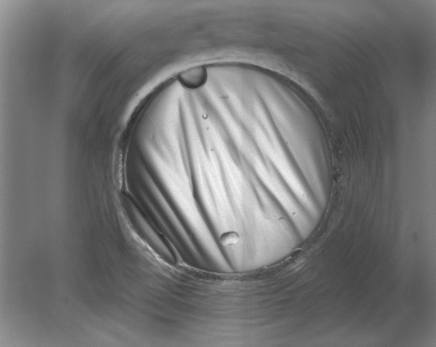 X0000078851510200612041852