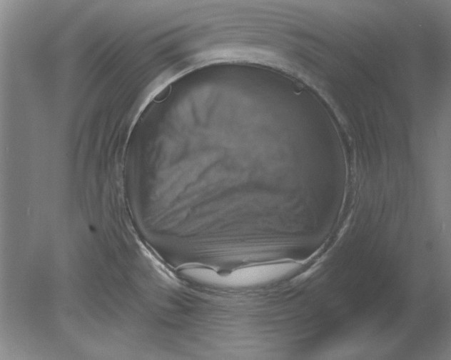 X0000078851529200612041853