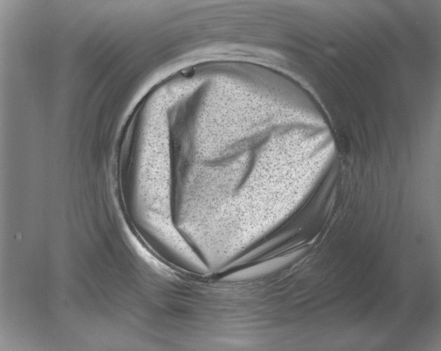 X0000078851531200612041853