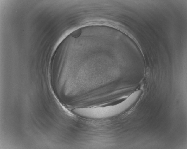 X0000078851533200612041853