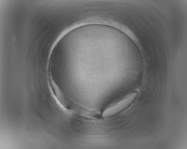 X0000078851536200612041853