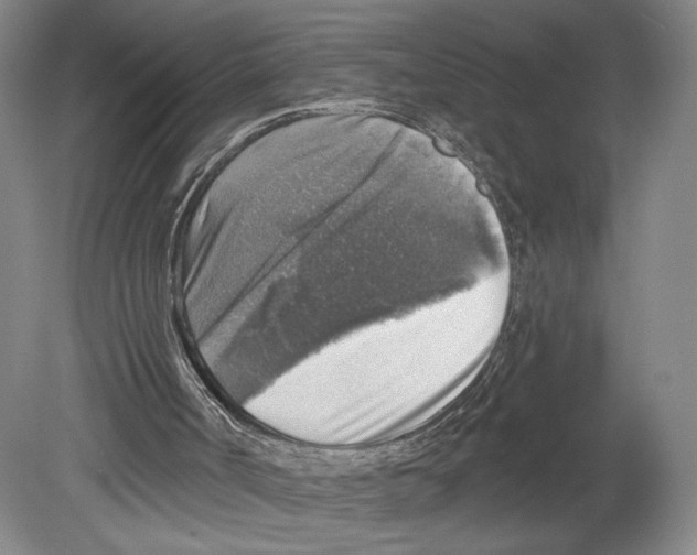 X0000078850002200612111633