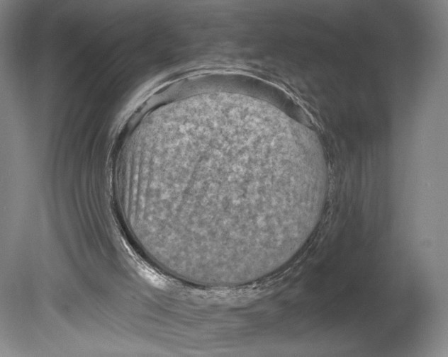 X0000078850005200612111633
