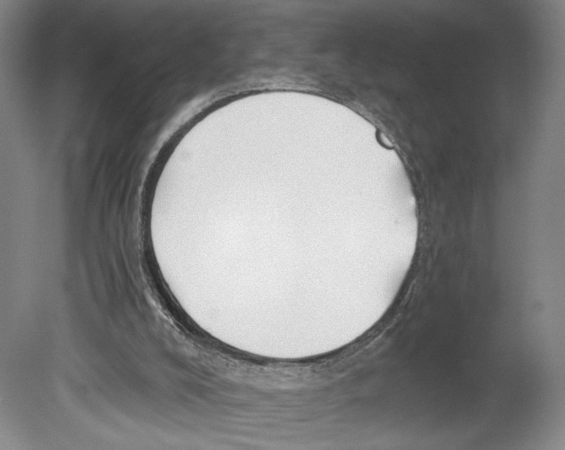 X0000078850008200612111633