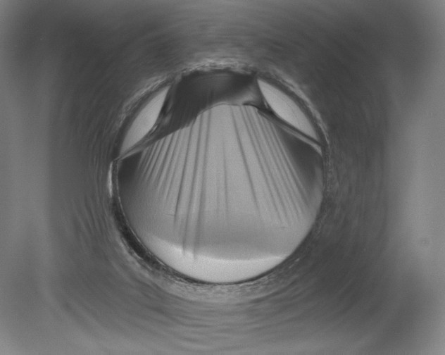 X0000078850019200612111633