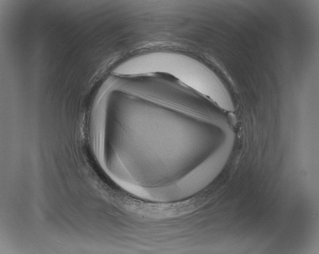 X0000078850023200612111633