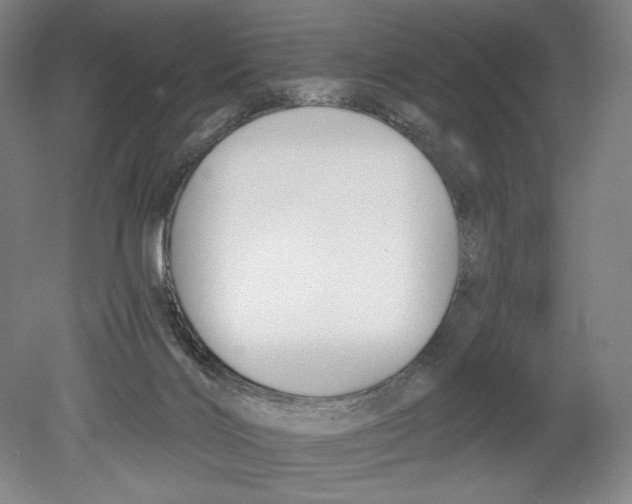 X0000078850028200612111633