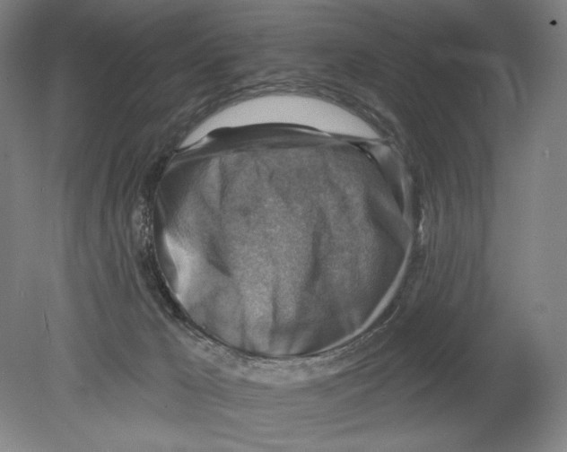 X0000078850029200612111633