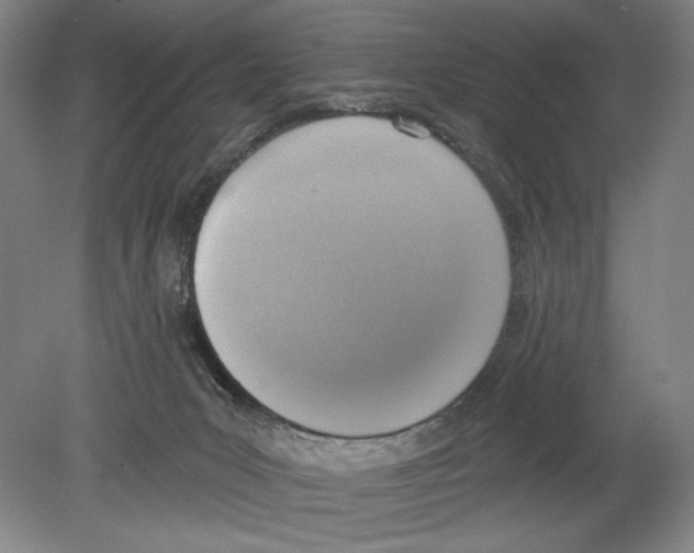 X0000078850031200612111633