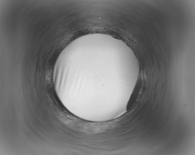 X0000078850033200612111633