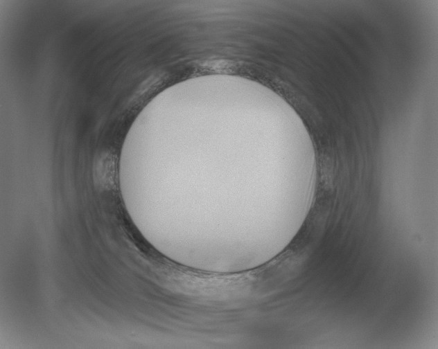 X0000078850036200612111633