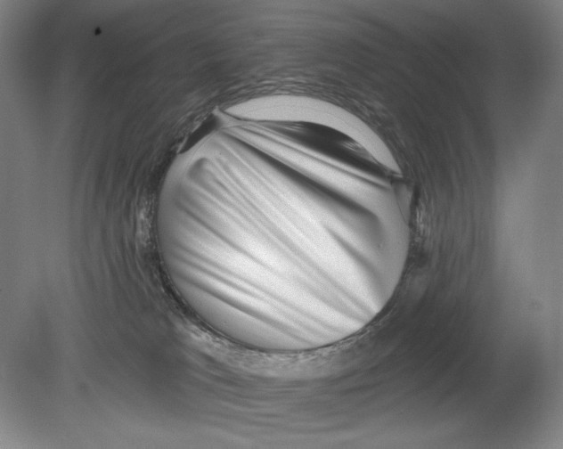 X0000078850037200612111633
