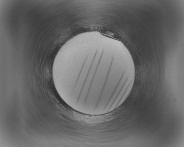 X0000078850039200612111633