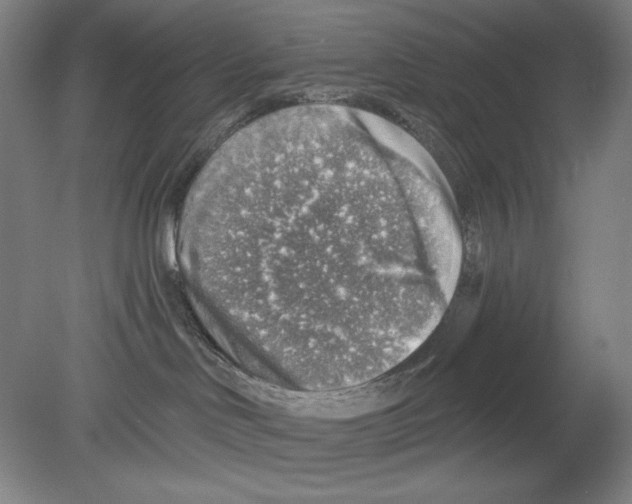 X0000078850046200612111633