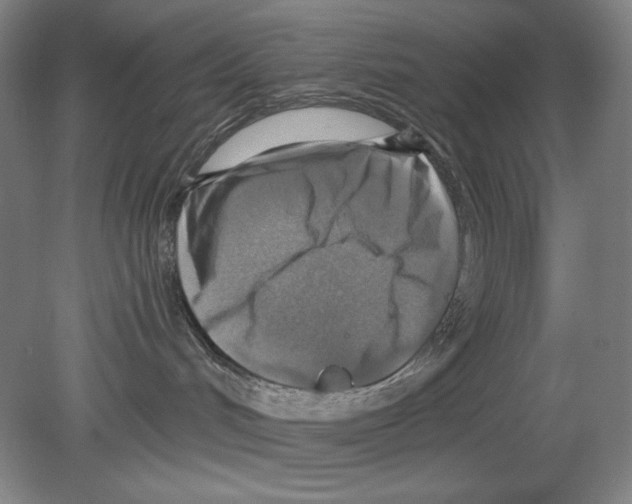 X0000078850048200612111633