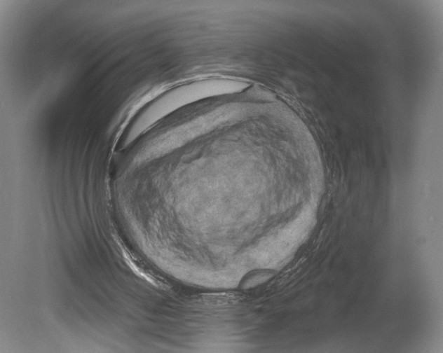 X0000078850050200612111632