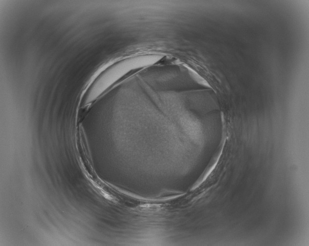 X0000078850052200612111632