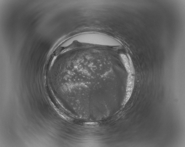 X0000078850053200612111632