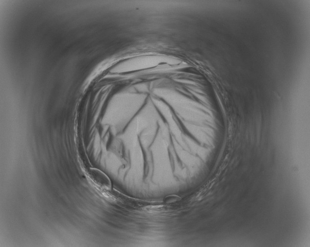 X0000078850054200612111632