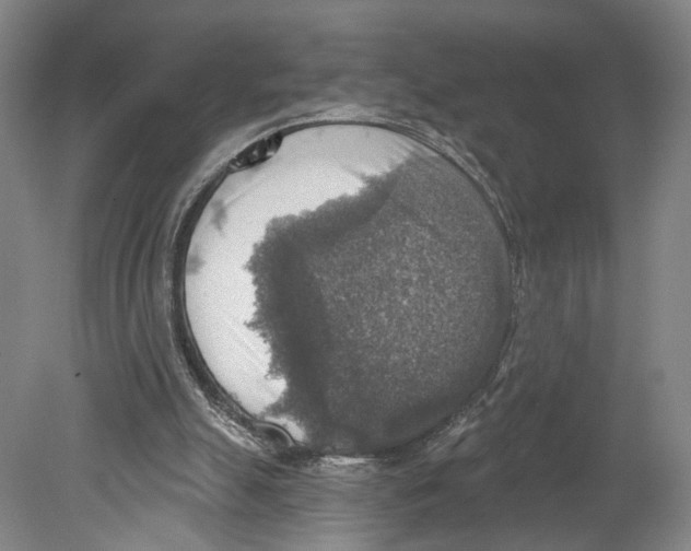X0000078850055200612111632