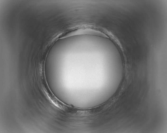 X0000078850057200612111632