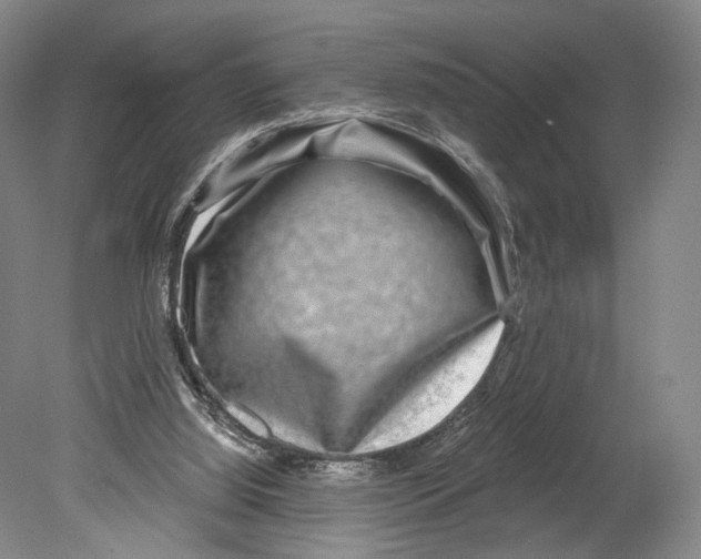 X0000078850060200612111632
