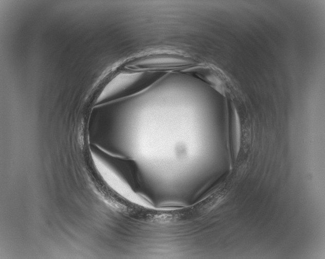 X0000078850064200612111632