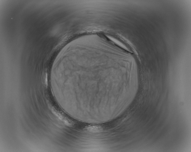 X0000078850067200612111632