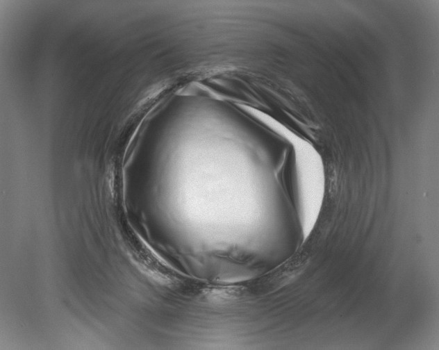 X0000078850072200612111632