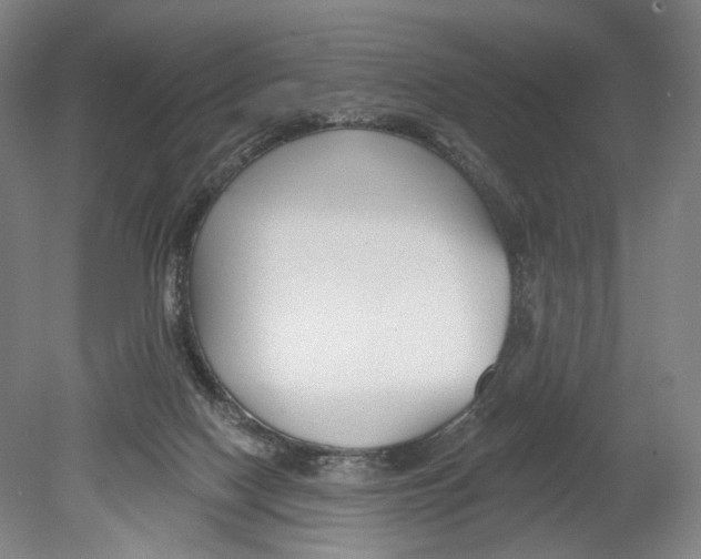 X0000078850074200612111632
