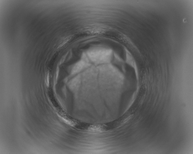 X0000078850076200612111632