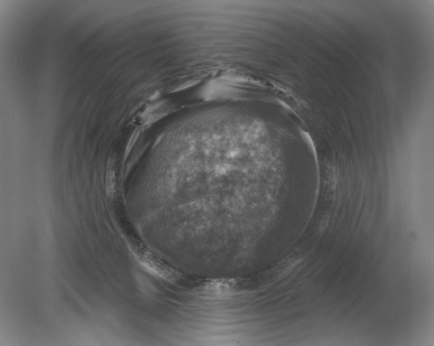 X0000078850080200612111632