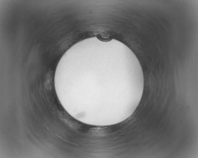 X0000078850082200612111632