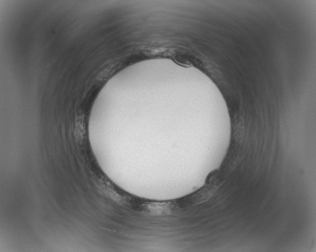 X0000078850085200612111632