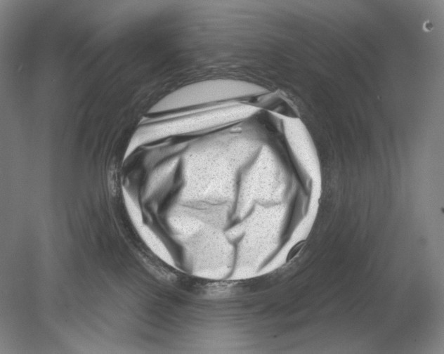 X0000078850090200612111633