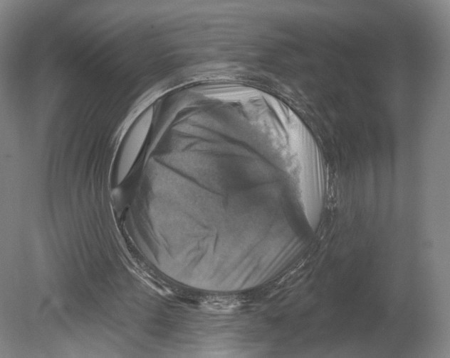 X0000078850099200612111632