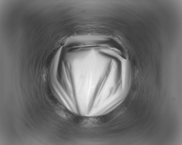 X0000078850125200612111631