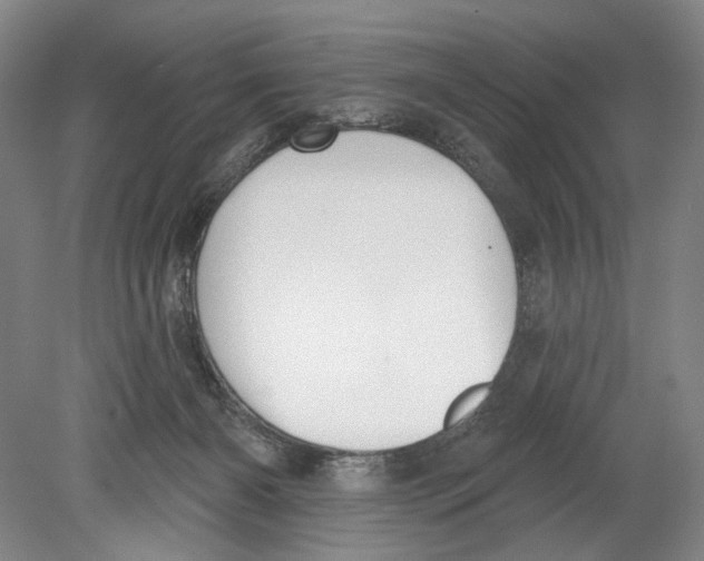 X0000078850126200612111631