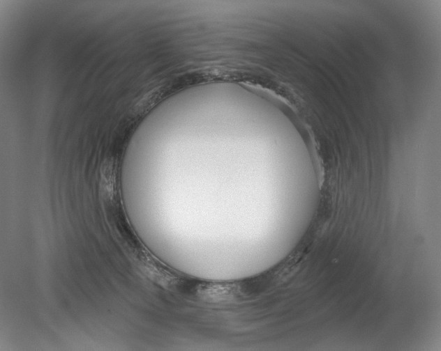 X0000078850129200612111631